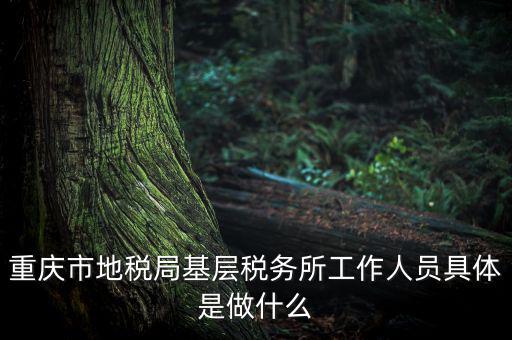 重慶市地稅局基層稅務所工作人員具體是做什么