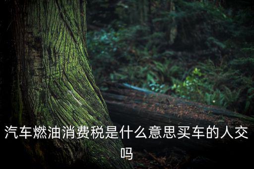 成品油消費稅什么意思，成品油消費稅和燃油稅