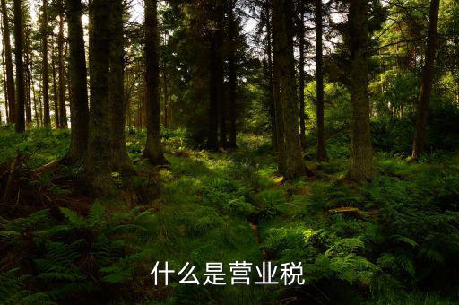 營業(yè)稅是什么行為稅，請問什么是營業(yè)稅