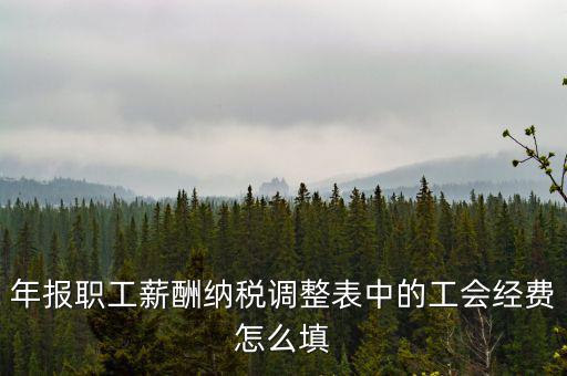 工會(huì)經(jīng)費(fèi)應(yīng)稅項(xiàng)填什么，網(wǎng)上報(bào)稅時(shí)又多了一項(xiàng)工會(huì)經(jīng)費(fèi)怎樣填寫計(jì)算