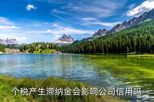 稅收滯納金有什么影響，地稅報(bào)稅逾期產(chǎn)生滯納金會(huì)對(duì)公司有甚么影響
