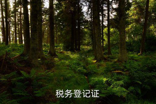 稅務(wù)登記證