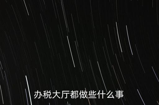 地稅大廳都干什么，辦稅大廳都做些什么事