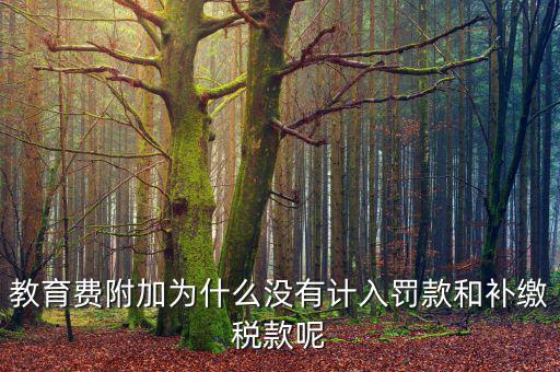 教育費(fèi)附加為什么沒有計(jì)入罰款和補(bǔ)繳稅款呢