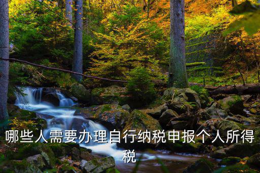 自行申報納稅是什么，所得稅自行納稅申報納稅名詞解釋