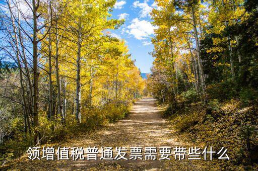 領發(fā)票帶什么資料，去稅務局領發(fā)票需要帶什么資料去