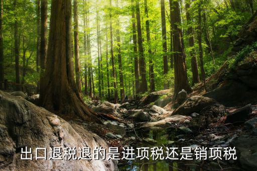 出口退稅退的是什么稅，出口退稅退的是進(jìn)項(xiàng)稅還是銷(xiāo)項(xiàng)稅