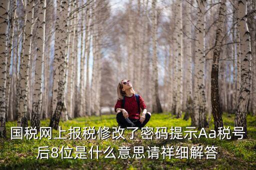 國稅網(wǎng)上報(bào)稅修改了密碼提示Aa稅號(hào)后8位是什么意思請(qǐng)祥細(xì)解答