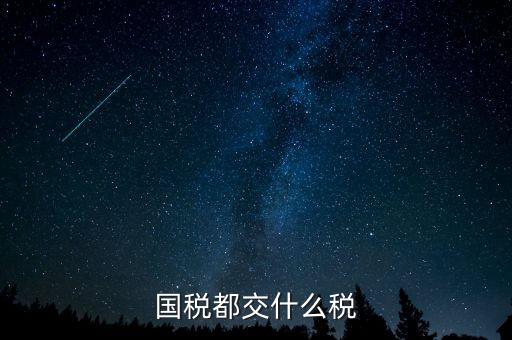 國稅五項稅種都是什么，國稅包括哪些稅種