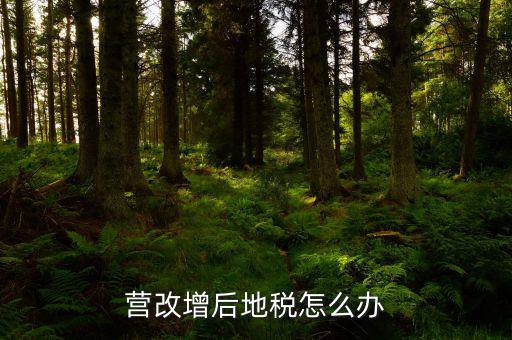 營改增后地稅怎么辦