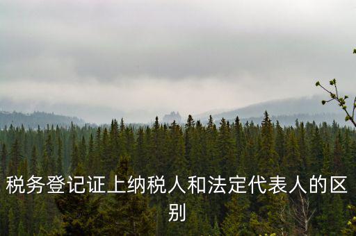 納稅人法定人是什么意思，稅務(wù)登記證上納稅人和法定代表人的區(qū)別