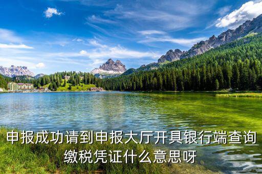 銀行端查詢繳稅憑證蓋什么章，銀行端查詢繳款憑證工會蓋什么章