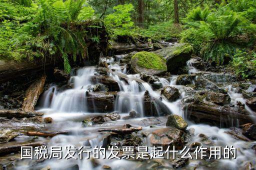 國家稅務(wù)局發(fā)票有什么用，發(fā)票有哪些作用呢
