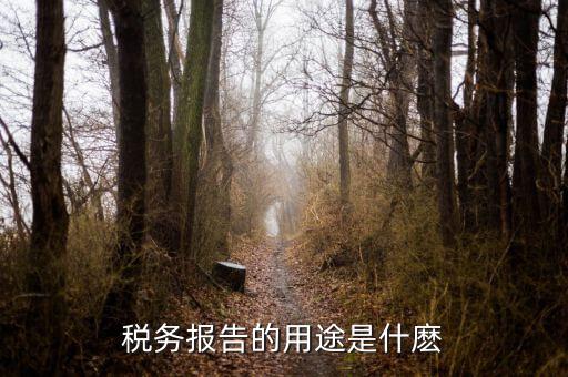 稅務(wù)報告的用途是什麼