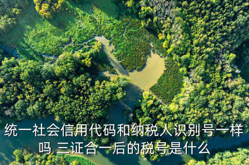 無證合一后稅號是什么意思，五證合一之后怎么查看稅號