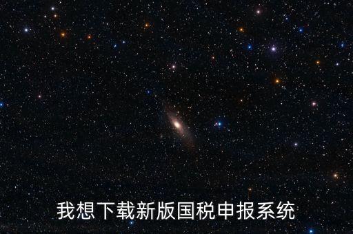 新疆國稅報(bào)稅什么系統(tǒng)下載，我想下載新版國稅申報(bào)系統(tǒng)