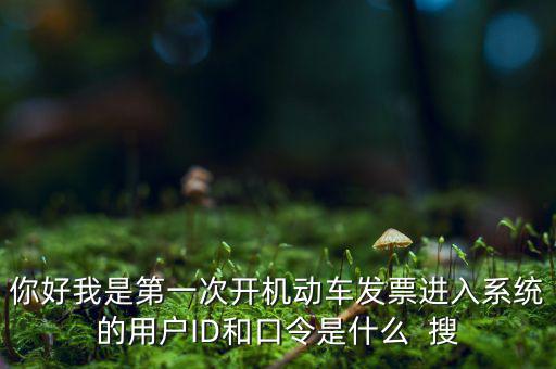 你好我是第一次開機動車發(fā)票進入系統(tǒng)的用戶ID和口令是什么  搜