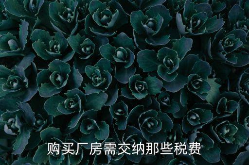 個人買廠房交什么稅，請問在重慶購買一手廠房需要交納那些稅費具體稅率是多少注