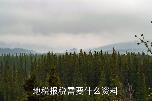 地稅報(bào)稅需要什么資料