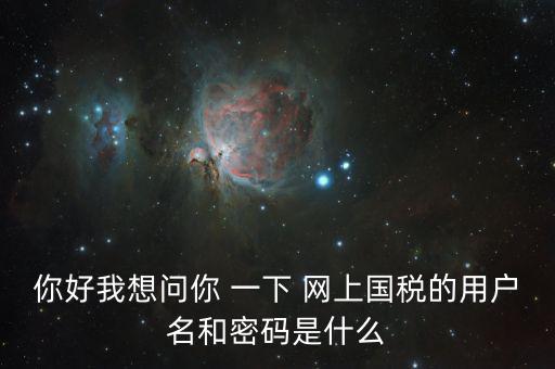 稅號(hào)和密碼是什么，國(guó)稅第一次網(wǎng)上申報(bào)的登陸密碼是什么