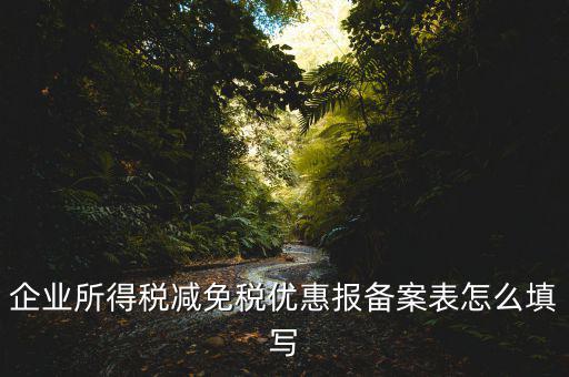 什么是稅收優(yōu)惠備案表，企業(yè)所得稅優(yōu)惠備案表填寫急