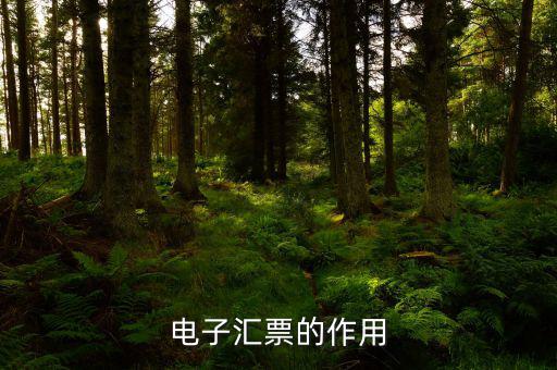 電子發(fā)票作用是什么，電子發(fā)票系統(tǒng)能做什么用