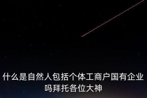 稅務(wù)上的自然人指的是什么，申請(qǐng)人為自然人的是什么意思