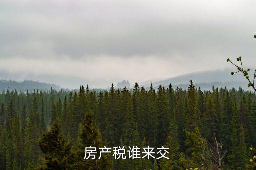 房產稅誰來交
