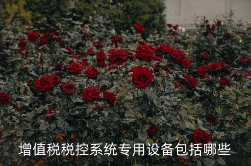 增值稅稅控系統(tǒng)專用設(shè)備包括哪些