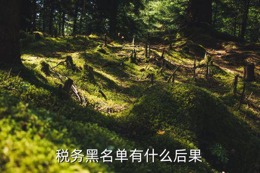 稅收黑名單制度是什么，關于上了稅務黑名單影響出境嗎