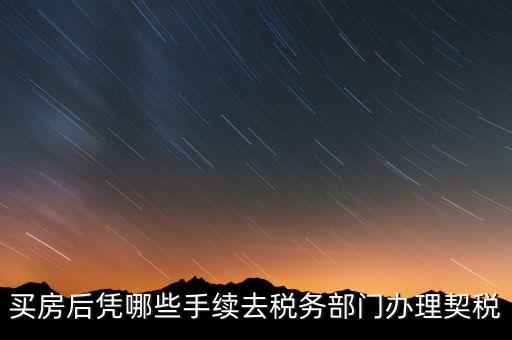 購房要在國稅辦什么，現(xiàn)在買房要辦些什么證件買房者與賣房者所交稅務有那些夠房者現(xiàn)