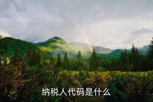 個人納稅人代碼是什么，納稅人代碼是什么