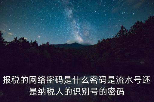 報稅的網(wǎng)絡(luò)密碼是什么密碼是流水號還是納稅人的識別號的密碼