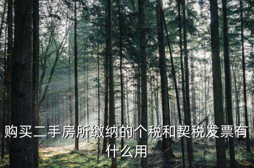購買二手房所繳納的個稅和契稅發(fā)票有什么用