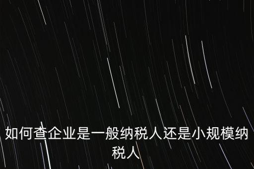 查詢公司什么納稅人，如何查企業(yè)是一般納稅人還是小規(guī)模納稅人