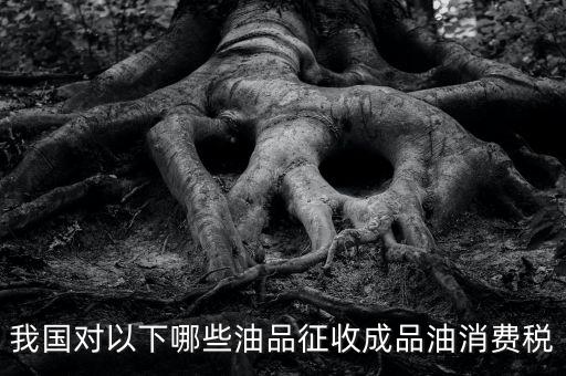 我國(guó)對(duì)以下哪些油品征收成品油消費(fèi)稅