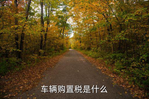 車購(gòu)稅資金是什么，購(gòu)置稅是什么