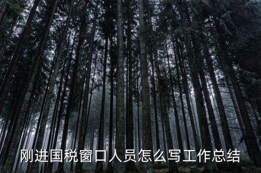 在國稅上班有什么感想，我是合同員工到國稅局上班一個月心得體會