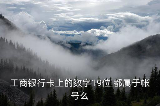 工行19位賬號應用號是什么，請解釋工商銀行19位帳號的組成含義