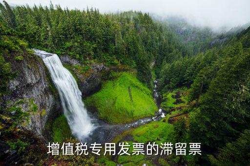 滯留票核查工作是干什么的，稅務(wù)局會(huì)查到期未抵扣的滯留增值稅專(zhuān)用發(fā)票嗎用來(lái)查帳外帳