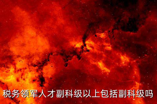 國稅領(lǐng)軍人才考什么用，稅務(wù)領(lǐng)軍人才副科級以上包括副科級嗎