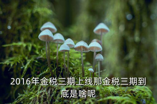 金稅三期雙軌是什么，金稅三期是什么意思