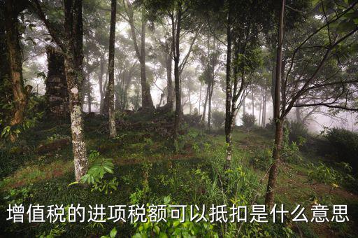 進(jìn)項(xiàng)抵扣是什么，增值稅的進(jìn)項(xiàng)稅額可以抵扣是什么意思