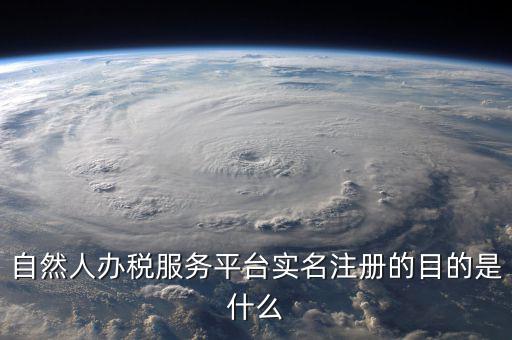 自然人辦稅服務(wù)平臺(tái)實(shí)名注冊(cè)的目的是什么