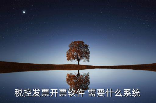 稅務(wù)開票系統(tǒng)都有什么，什么是開票系統(tǒng)小規(guī)模納稅人有裝開票系統(tǒng)嗎在線等謝謝