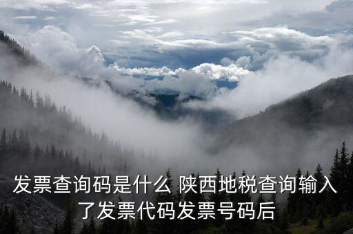 發(fā)票查詢(xún)碼是什么 陜西地稅查詢(xún)輸入了發(fā)票代碼發(fā)票號(hào)碼后