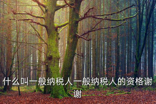什么叫一般納稅人一般納稅人的資格謝謝