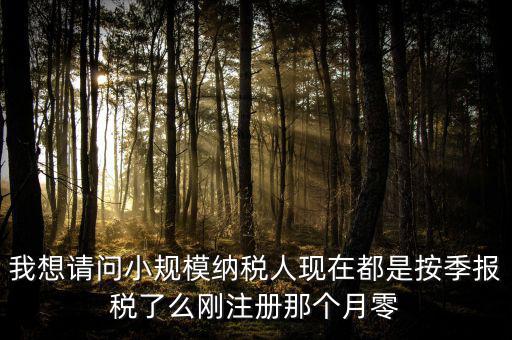 小規(guī)模什么時候零申報，增值稅小規(guī)模納稅人免稅零申報的歸屬期間