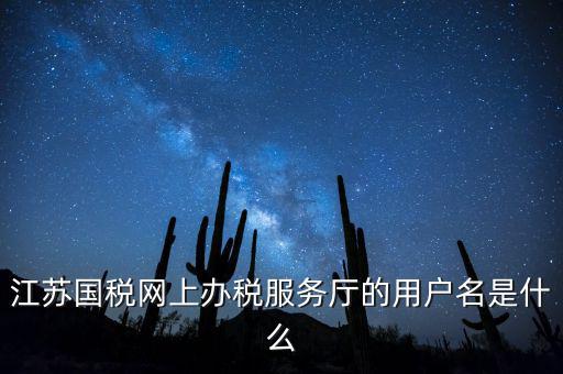 江蘇國稅用戶名密碼是什么，江蘇國稅網(wǎng)上辦稅服務廳的用戶名是什么
