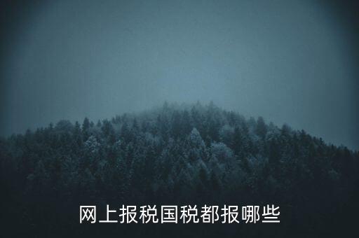 國(guó)稅云辦稅廳都報(bào)什么，你好我是新手我想問(wèn)一下前輩國(guó)稅每月季年都報(bào)什么報(bào)表